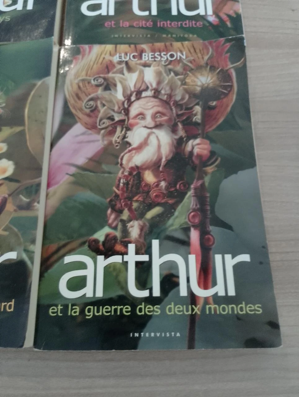 Arthur e os Minimoys, tomo 1, 2, 3, 4 – photo 5